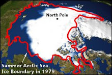 Arctic Shrinkage