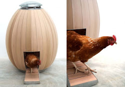 chickens coop chicken stealth nogg backyard profile low farming side plans website google hometone egg would