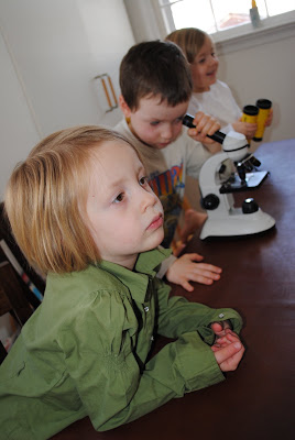 Our Cool Preschool: Sense of Sight