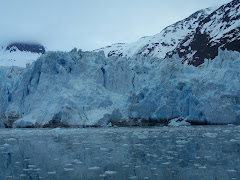 Look @ all the ICE ! ! !