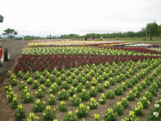 [IMG_0712a.JPG]