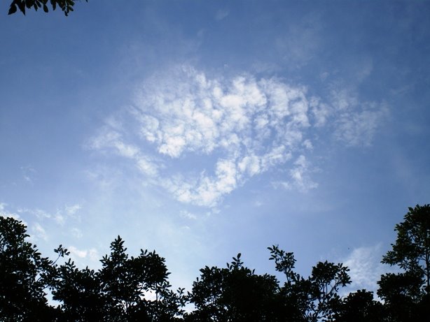 [IMGP3195.JPG]