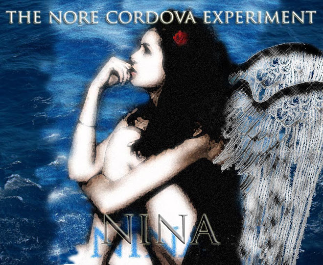 Album cover art 'Nina'