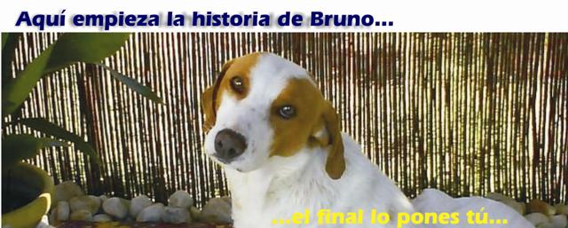 Aquí empieza la historia de Bruno...el final lo pones tú