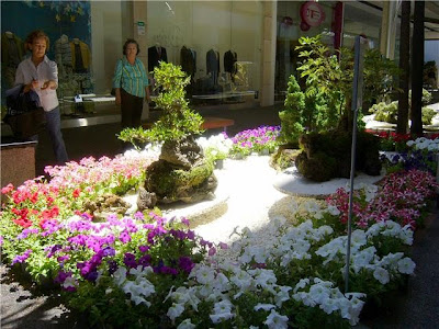 "La Bandeja Paisa": NOTA SOBRE LA XII EXPOSICION DE BONSAI