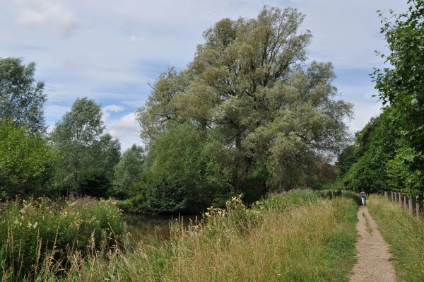 The Great Cotswold Ramble