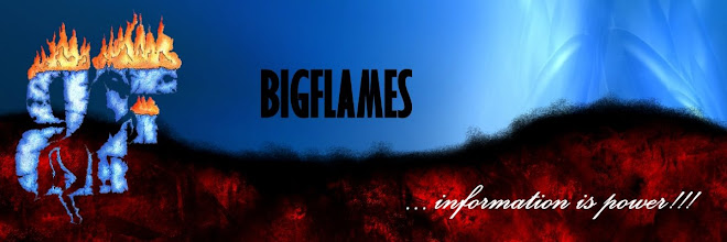 Welcome to BigFlames