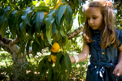 Kara s Party Ideas Peaches and Cream Party   - 85