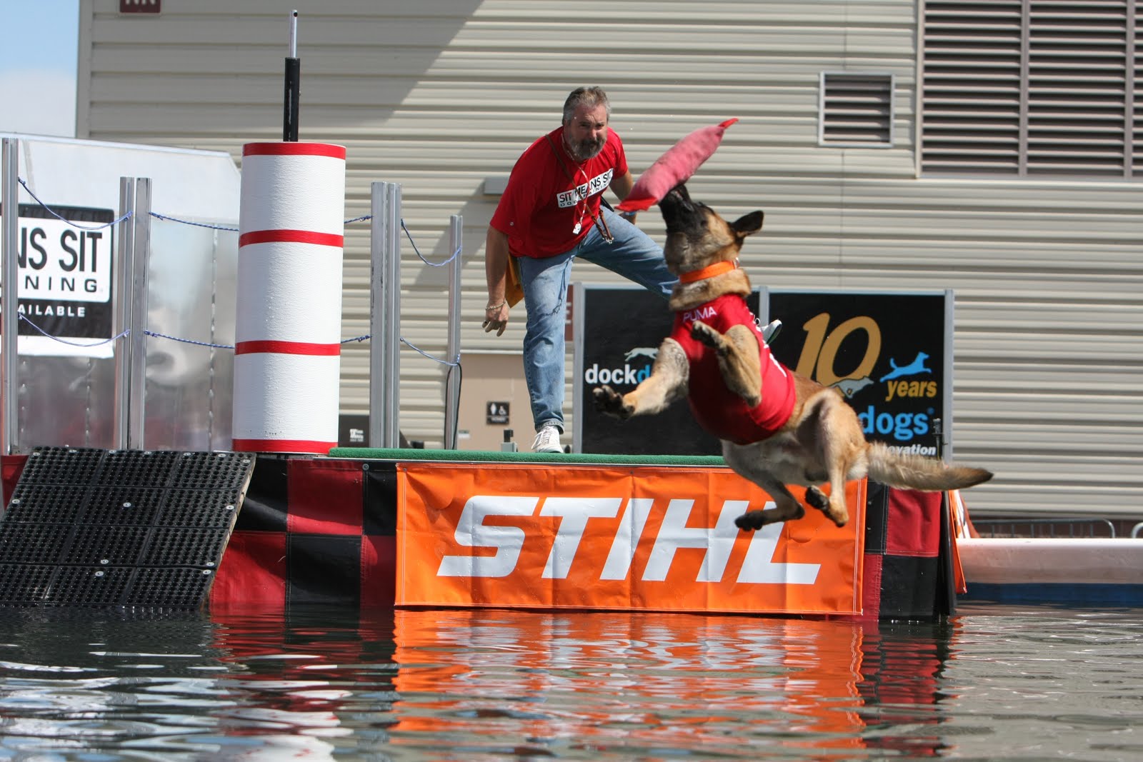 Las Vegas DockDogs Blog PUMA'S RESULTS FROM DOGS & LOGS WORLD