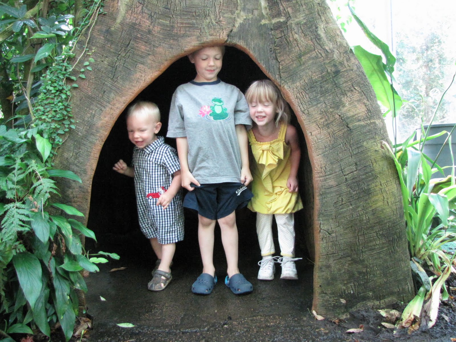 St Louis Zoo Train Ride Cost IUCN Water