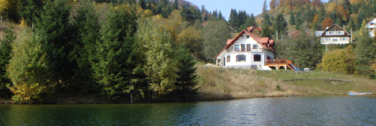 Cabana Colibita