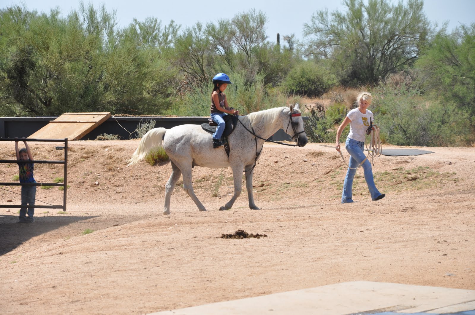 Life with Lauren Horseback Riding Lessons