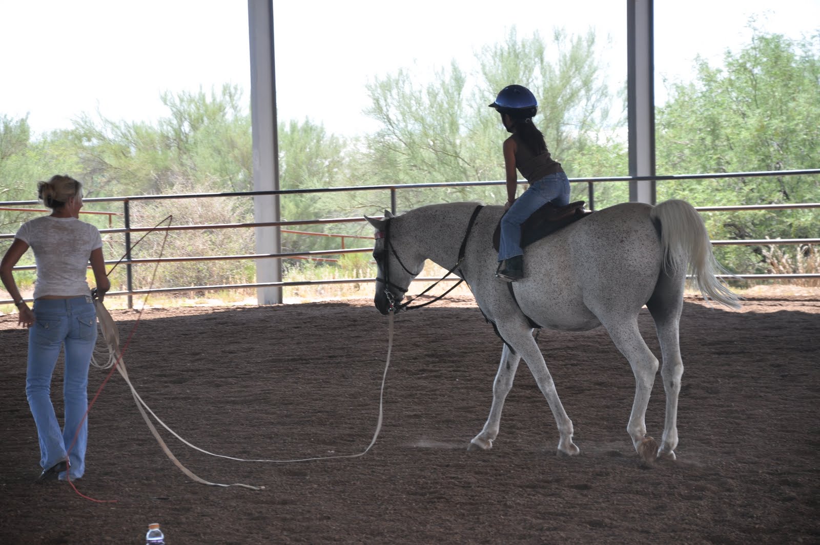 Life with Lauren Horseback Riding Lessons