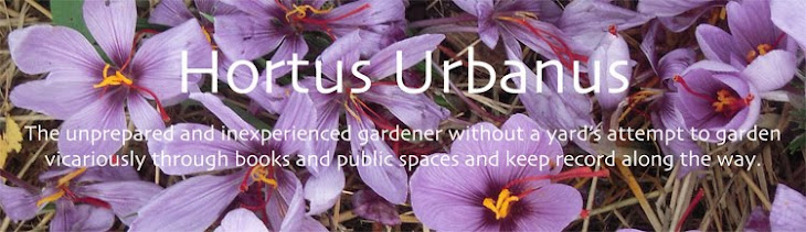 Hortus Urbanus
