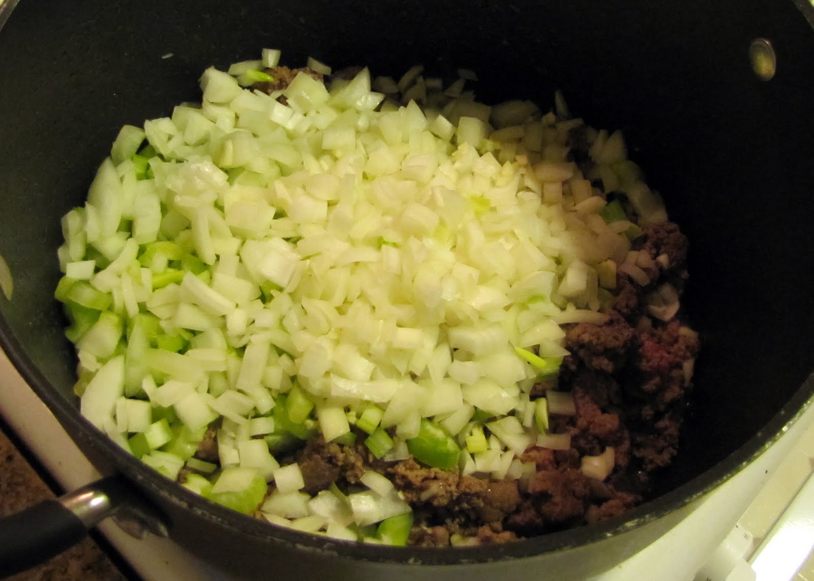 [celery,+onions+and+garlic+added+to+beef.jpg]