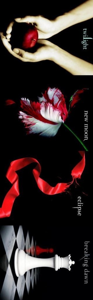 The Short Second Life Of Bree Tanner Ebook