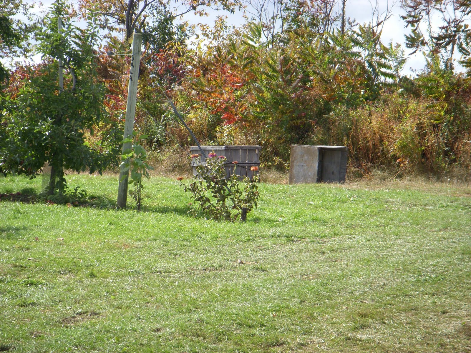 [DSCN4765.JPG]