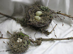 Bird Nest Tutorial