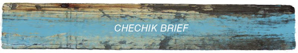 The Chechik Brief