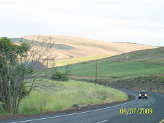 High Plains near The Dalles