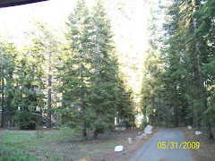 Camping at Lake Tahoe