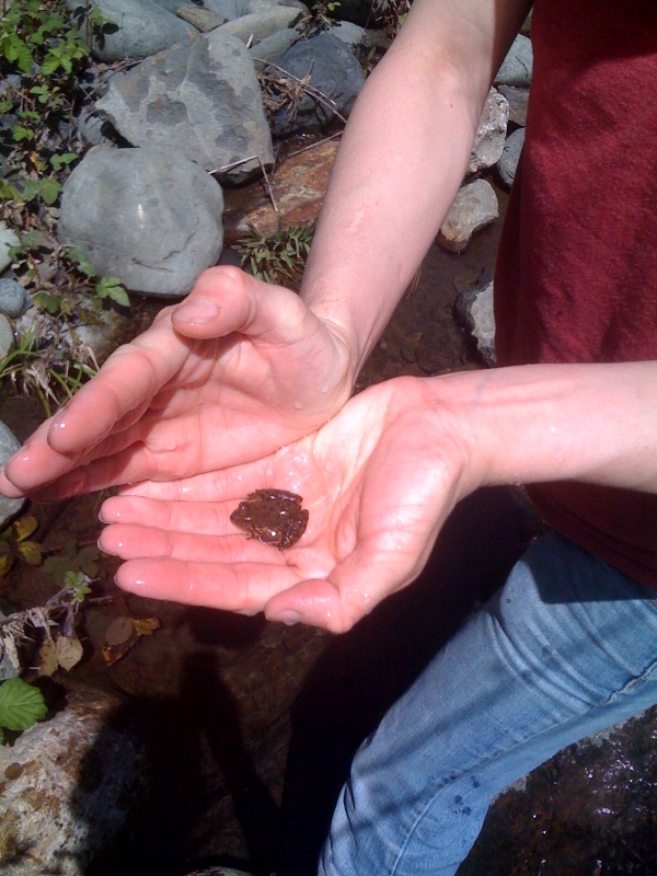 pedal-boat-adventure