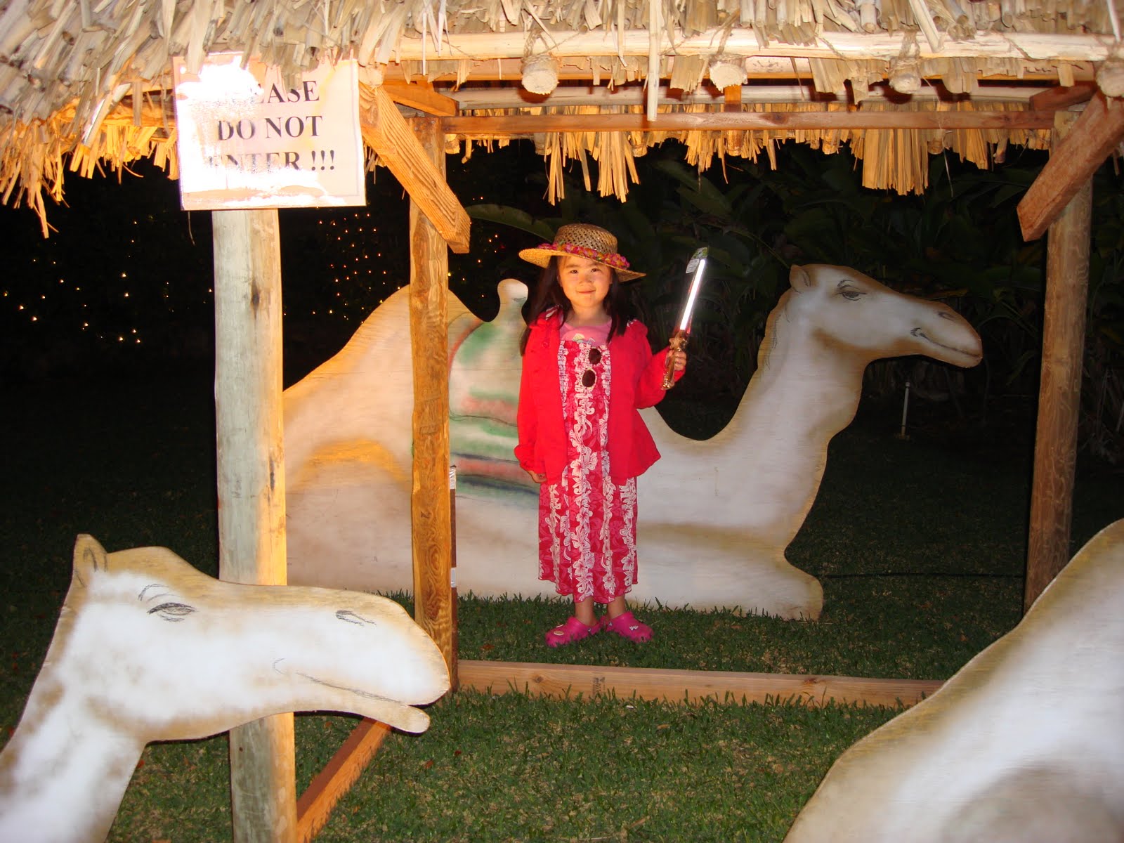 [DSC03037.JPG]