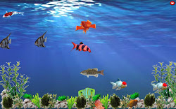 background virtual aquarium javafx step