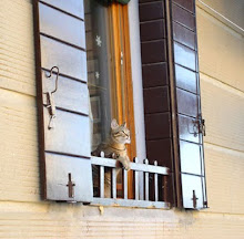 cat in Venice window