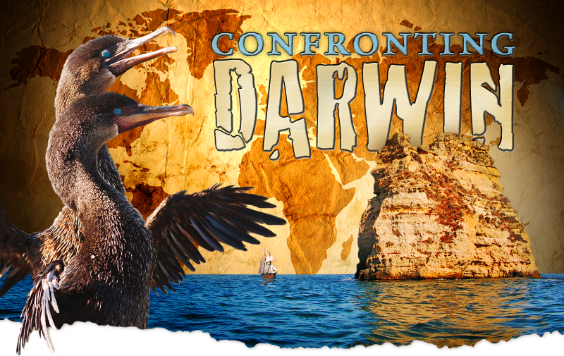 Confronting Darwin