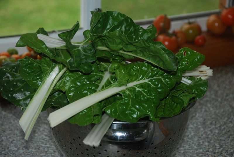 The Provincial Homemaker Silverbeet or Swiss Chard 4 Ways.