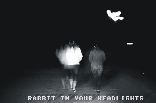 :: rabbit in your headlights :::