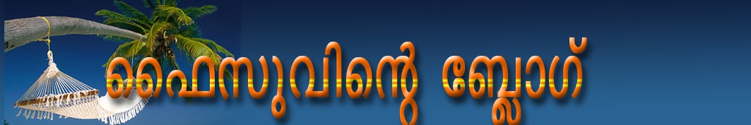 ഫൈസുവിന്റെ ബ്ലോഗ്‌