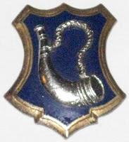 US Military Insignia 181st Infantry Regiment