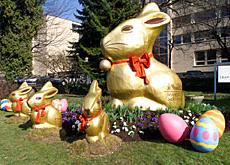 Monumental Lindt Gold Bunny