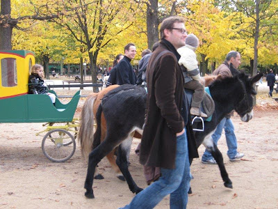 Luxembourg gardens