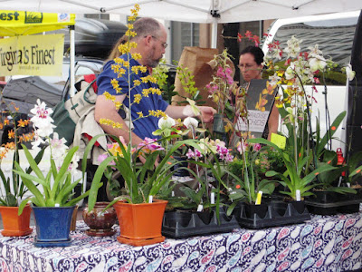 Penn Quarter farmer's market, orchids