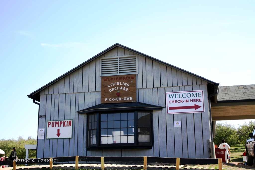 Where To Go Apple Picking Near Ashburn Va