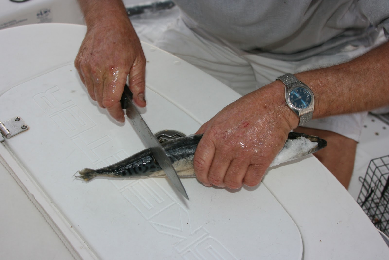 Dan's Journal Bait for Lobster fishing