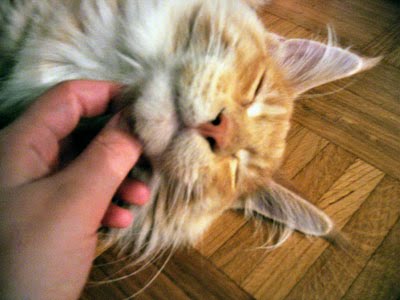 chin+stroke.jpg