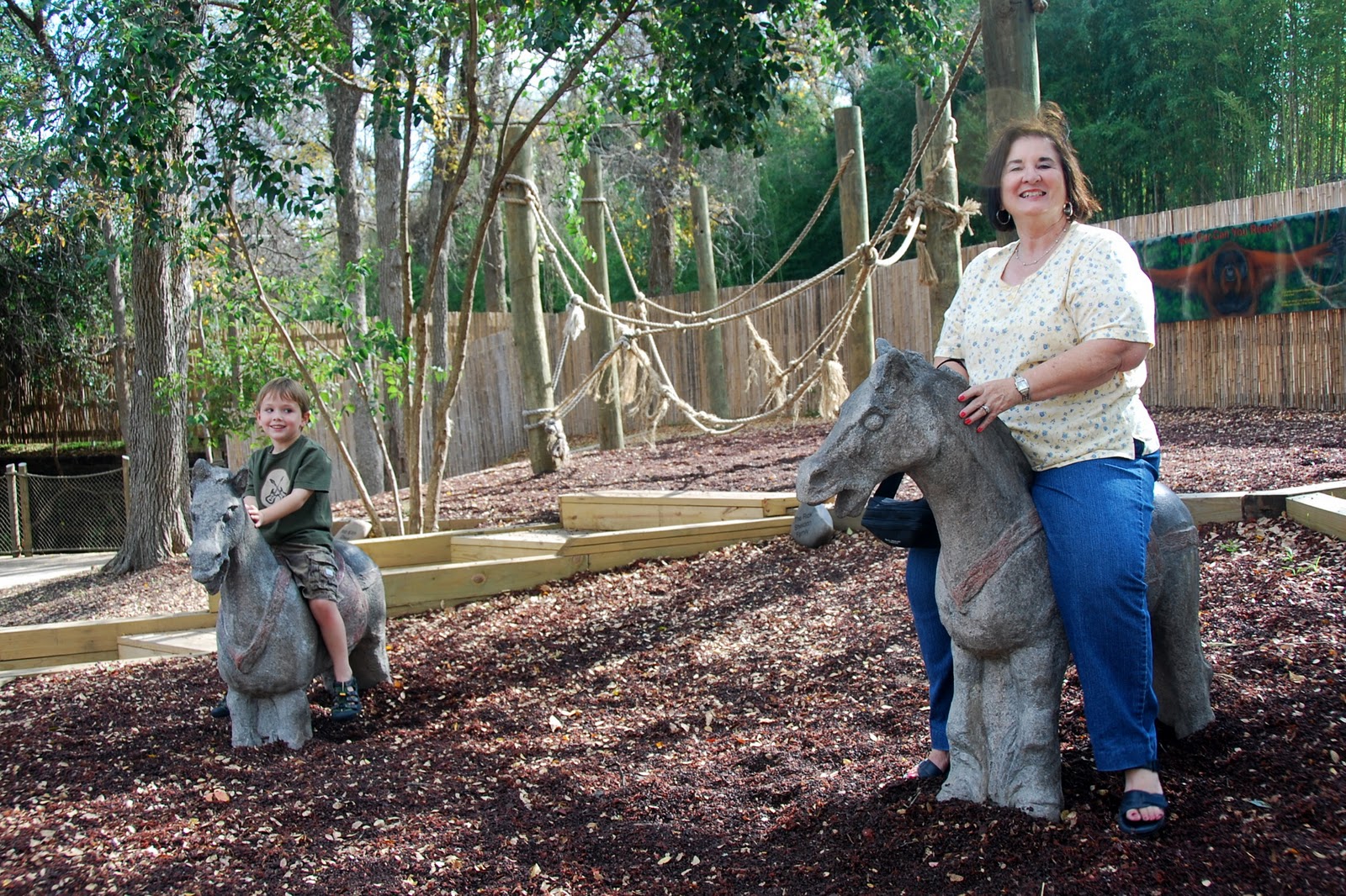 Soak it all in: Cameron Park Zoo