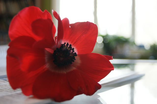 [DSC02935.jpg]