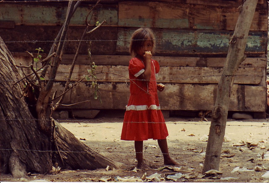[salvador_red+dress.jpg]