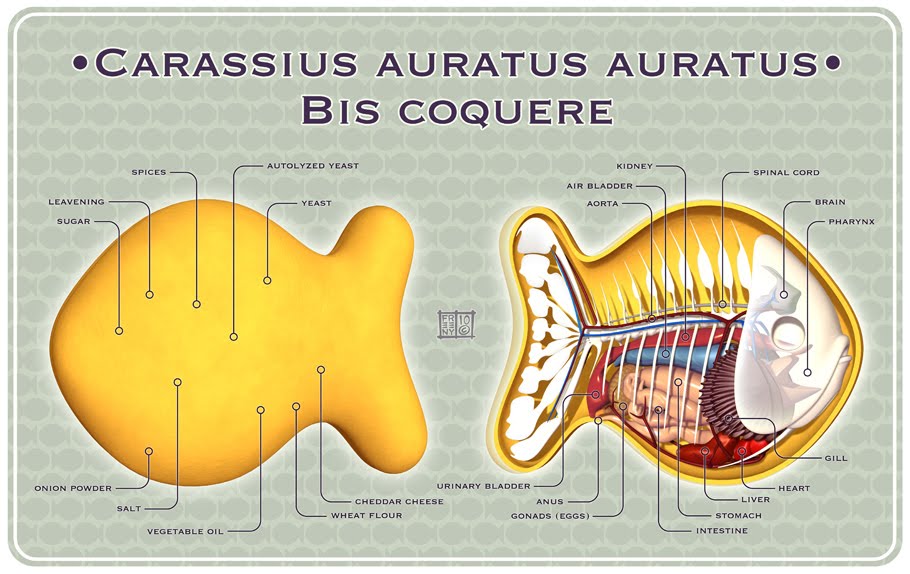 MoistProduction Goldfish Cracker
