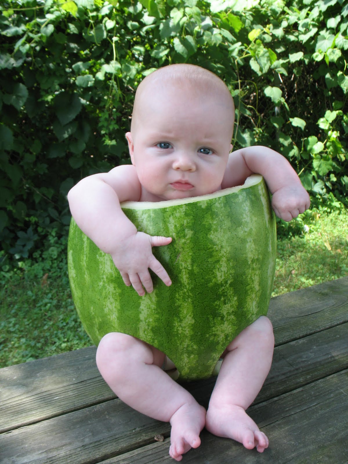 8. Sweetest Baby: Watermelon Bubble Bodysuit Reveal - pm61pid