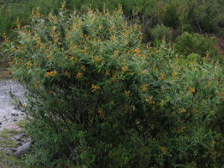 tecnologo en administracion de empresas agropecuar