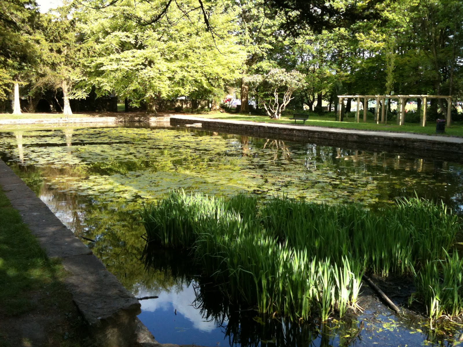 Britain in Bloom Witton Park Blackburn