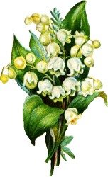 [lily-of-the-valley-arrangement.jpg]