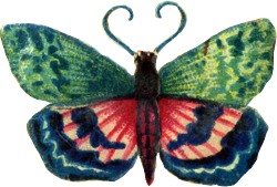 [fancy-pattern-butterfly.jpg]