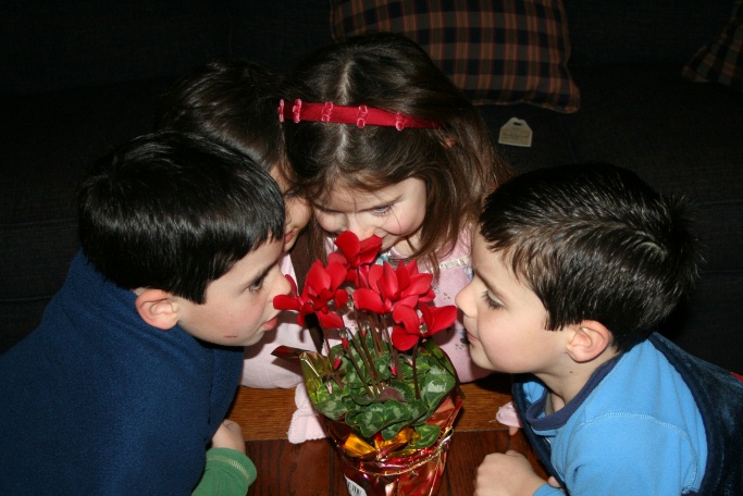 [IMG_4984.JPG]
